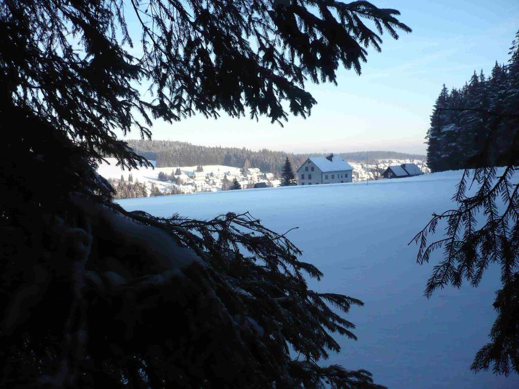 Hohengasthof Lowen - Escheck Schönwalde Kültér fotó